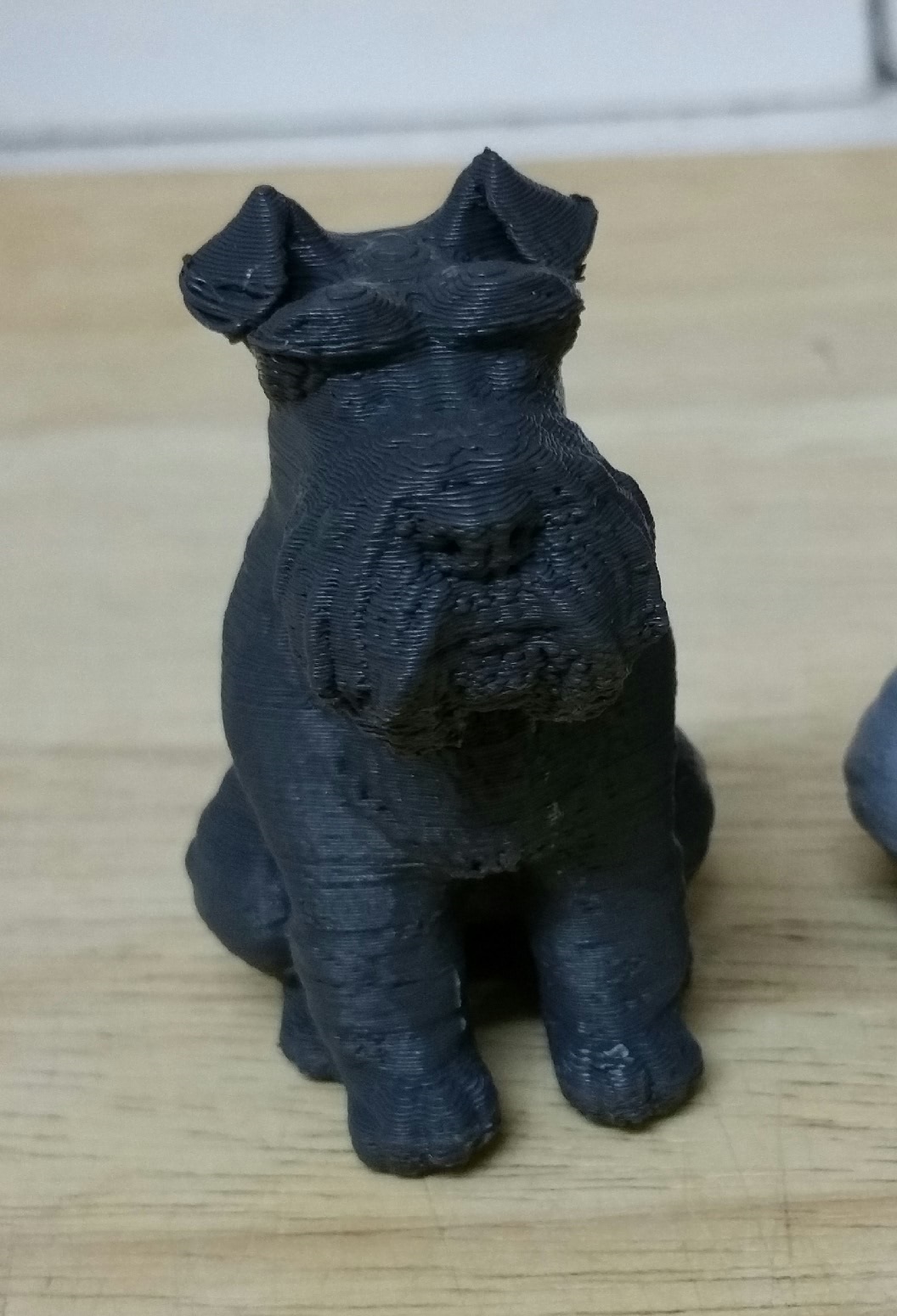 Miniature Schnauzer