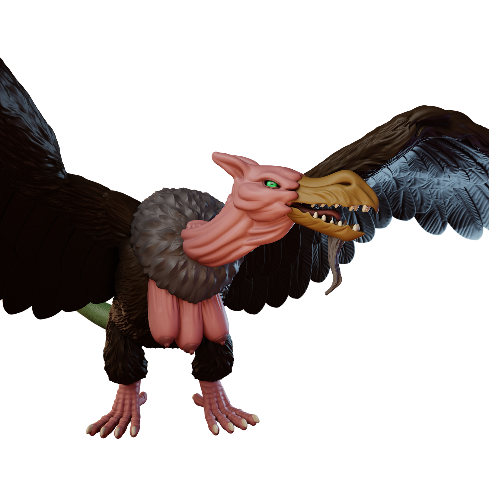 Harpy