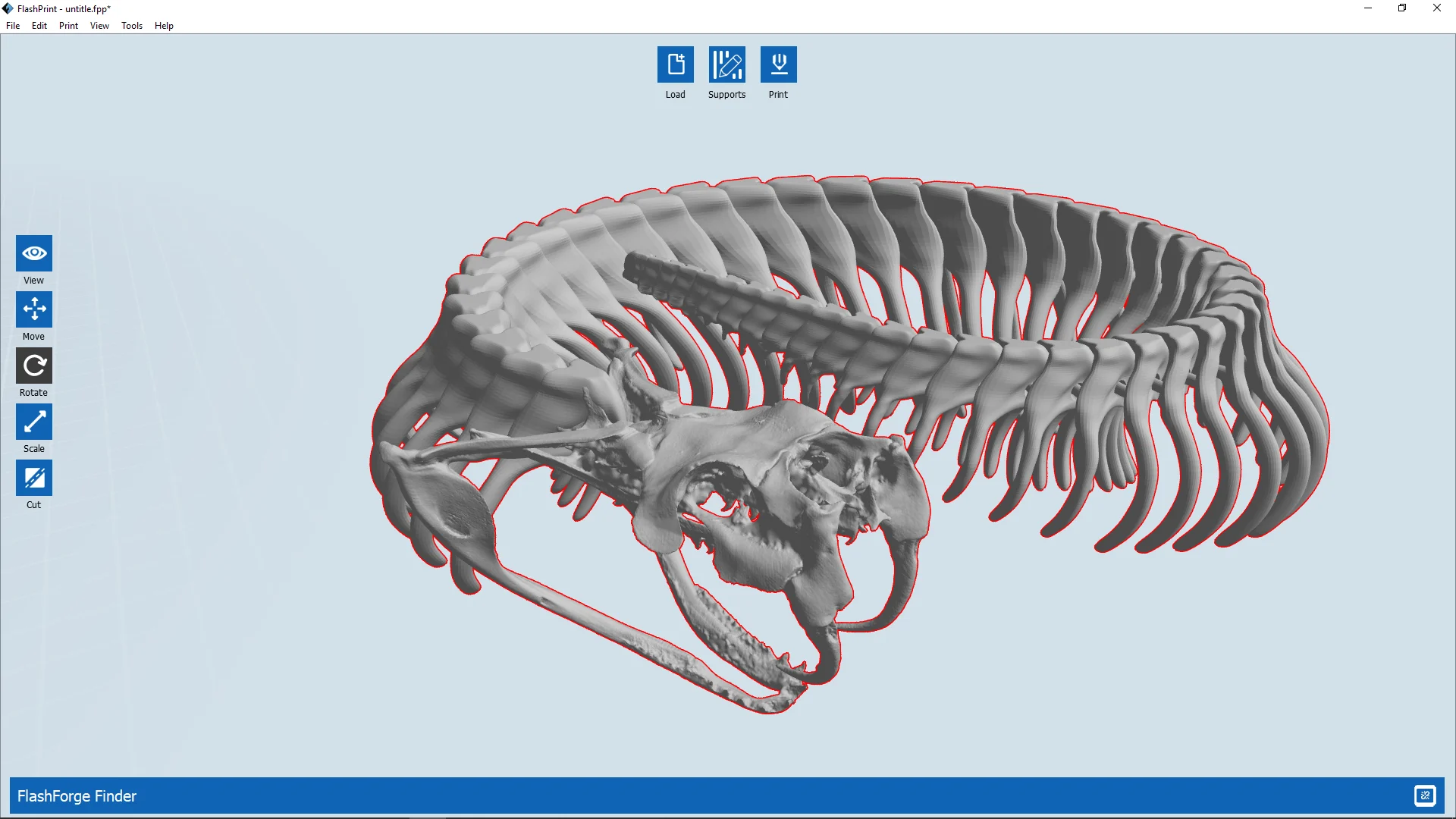 Gaboon Viper Skeleton Articulated