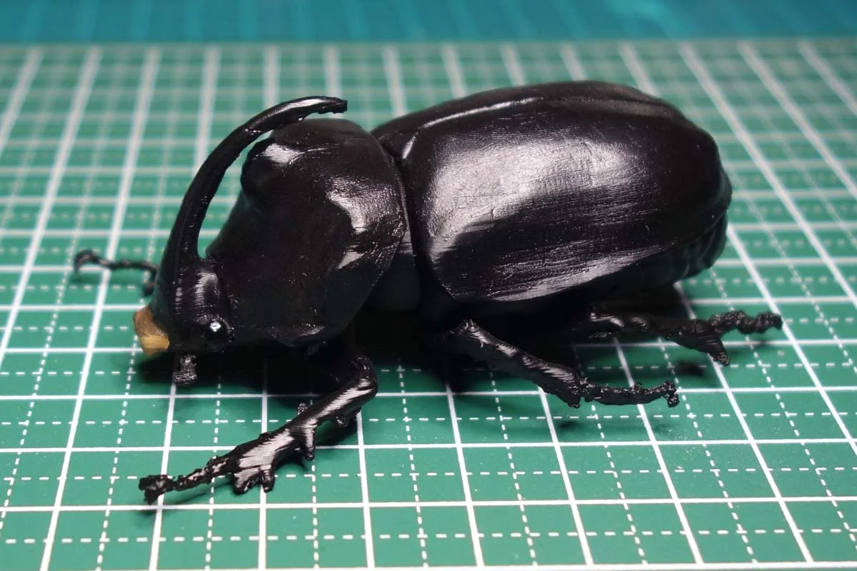 Oryctes gigas