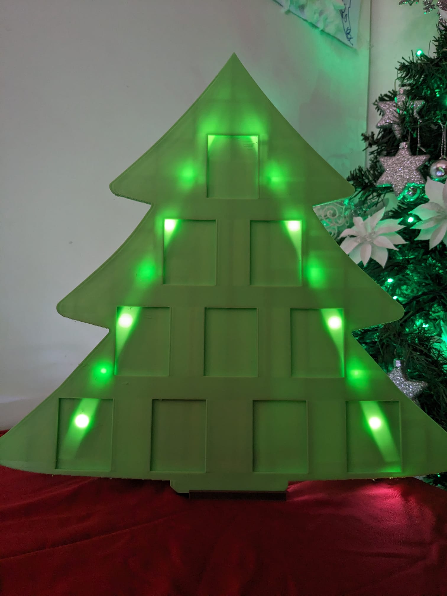 tree for passport photos
