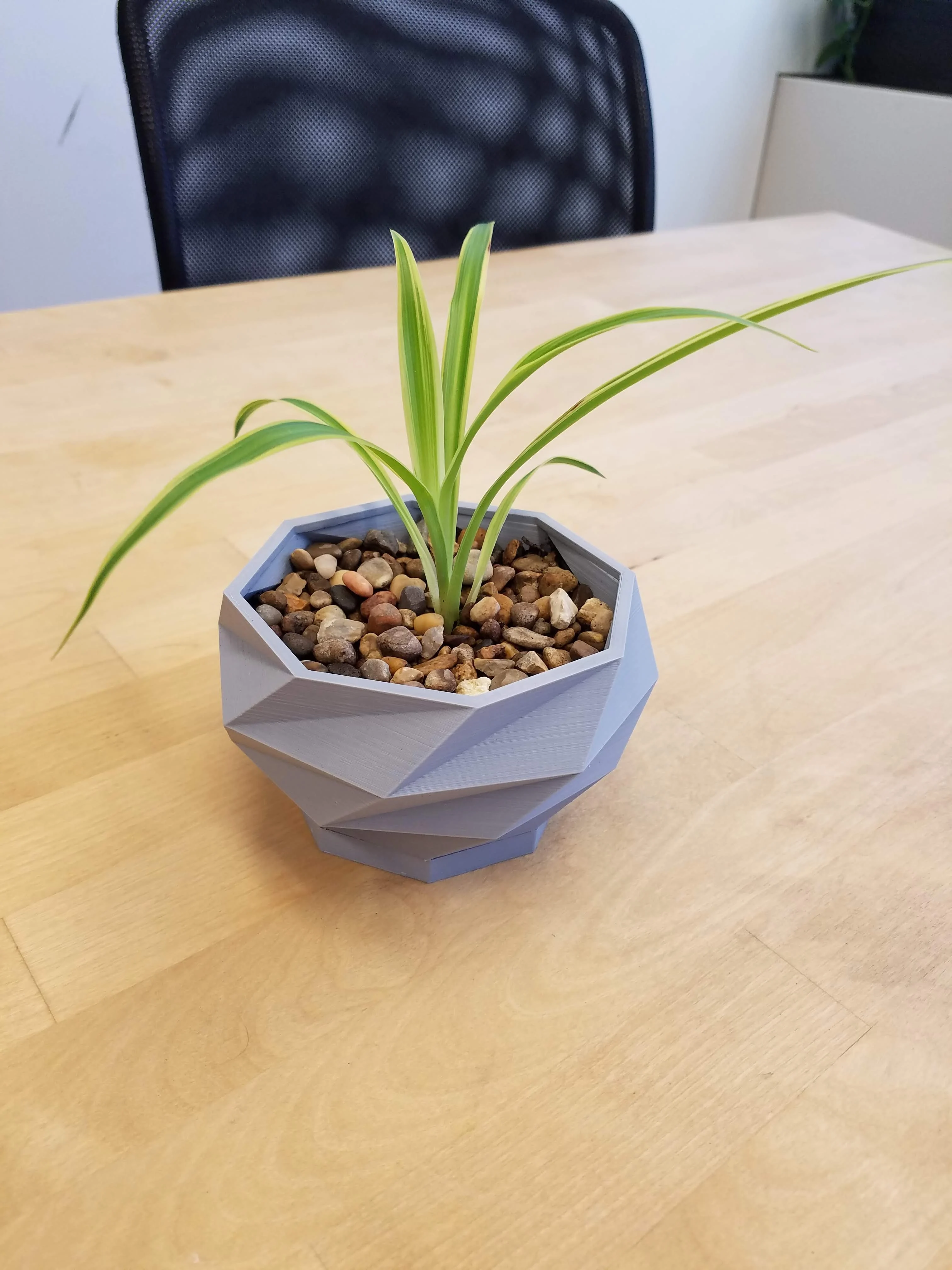 Geometric Planter With Separate Drainage Base