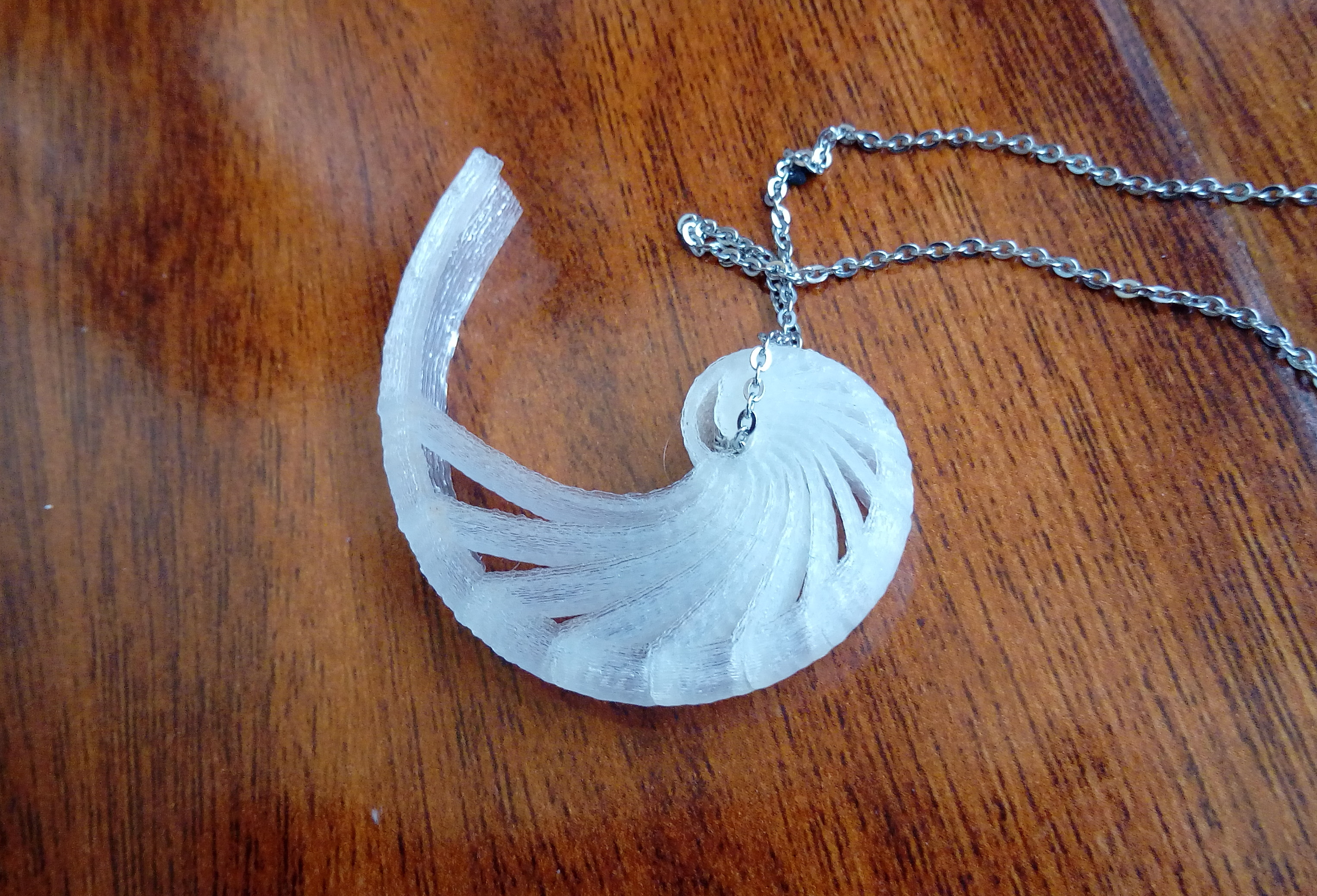 Nautilus shell