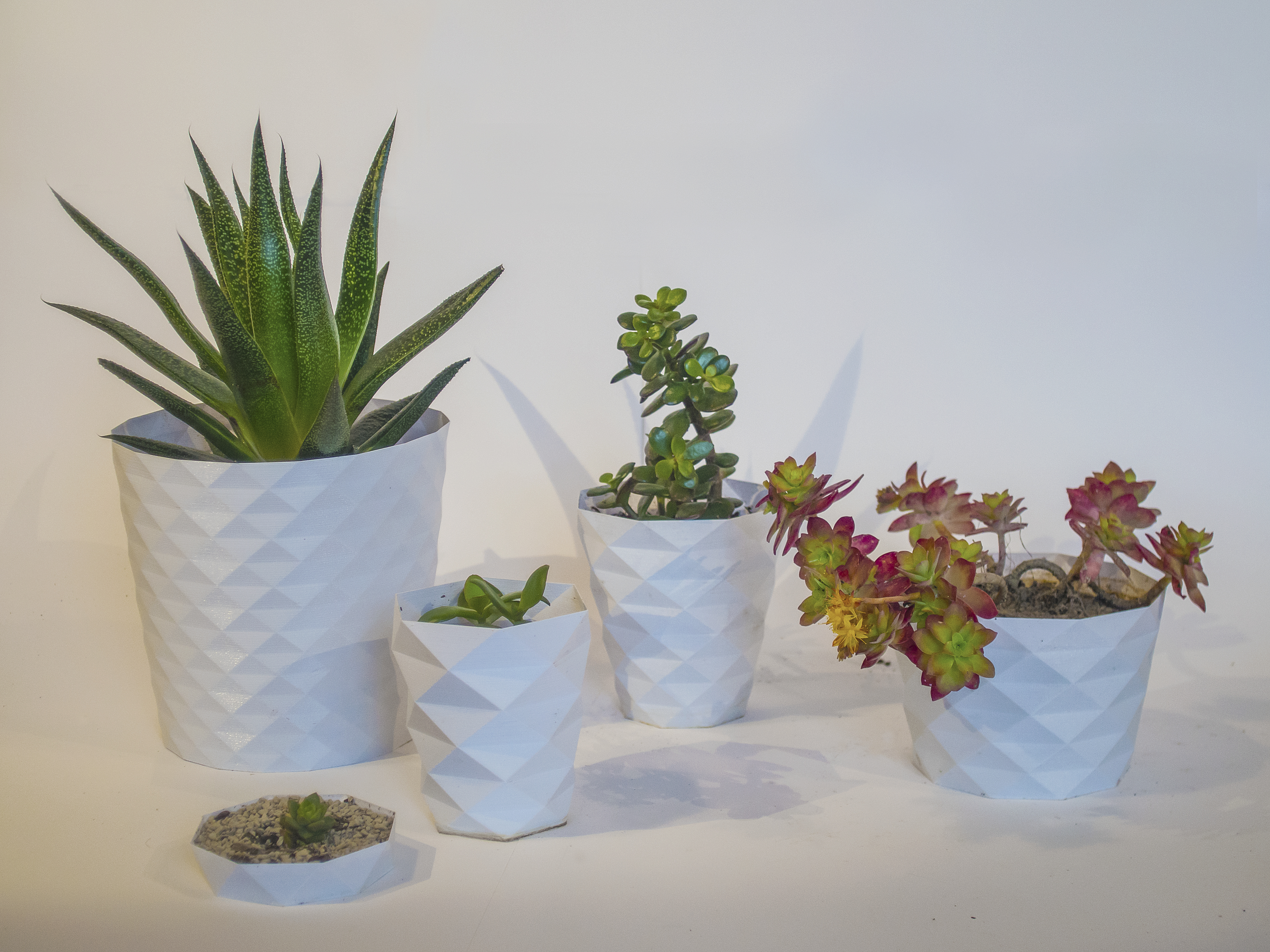 Parametric flower pots