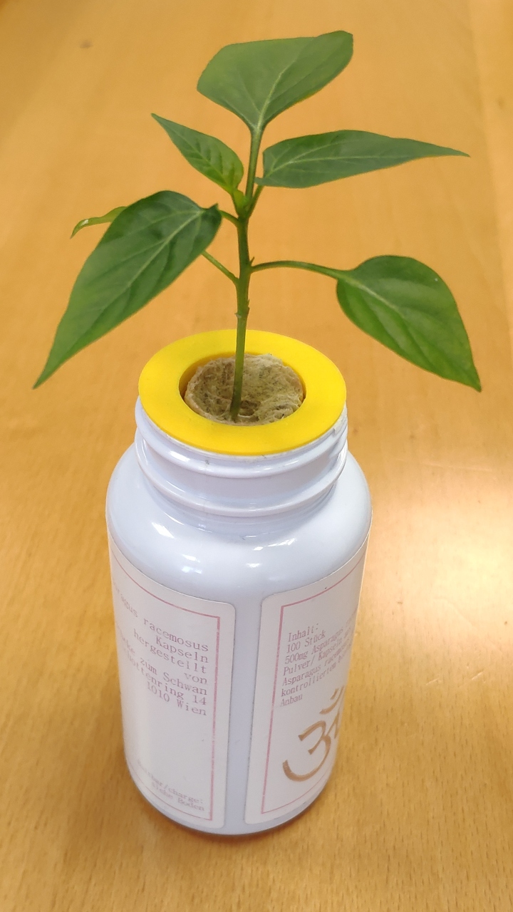 Customizable Net Cup