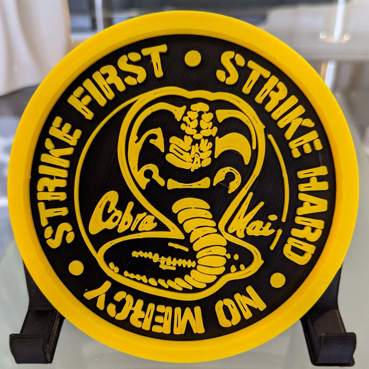 Cobra Kai Coaster