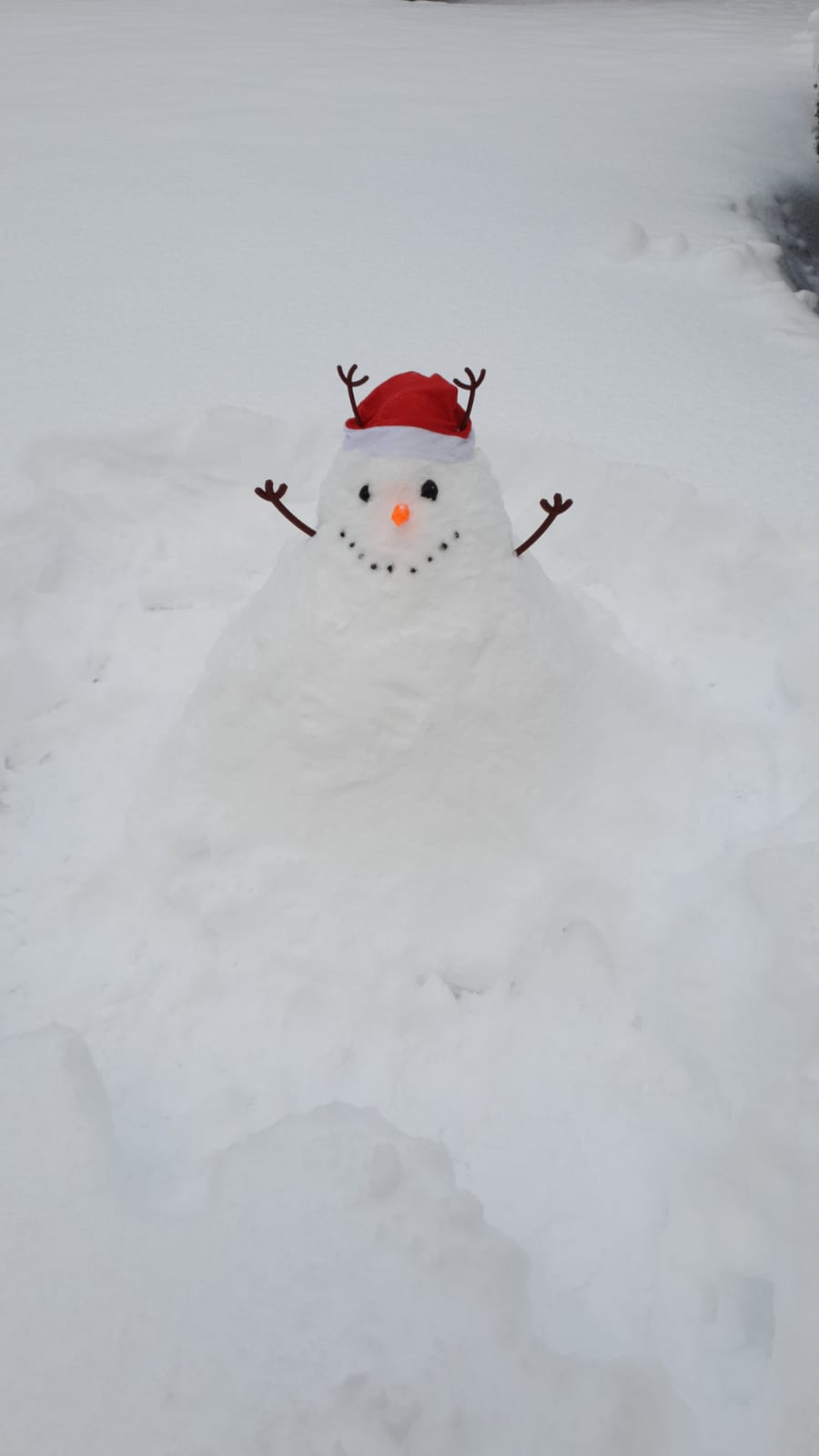 Snow man attachments (nose, eyes, arms)