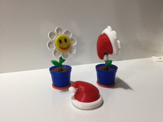 1 Flower in Pot