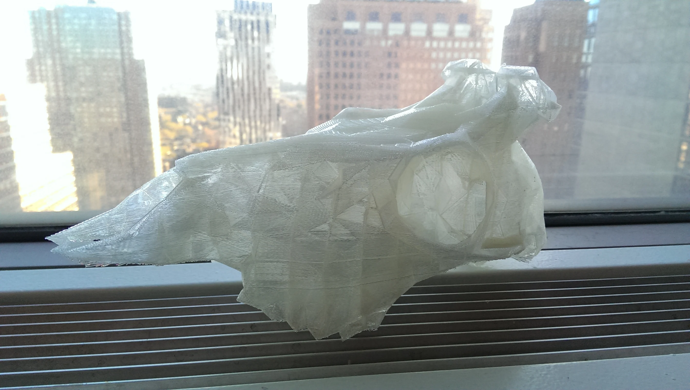 Decimated Deer Skull