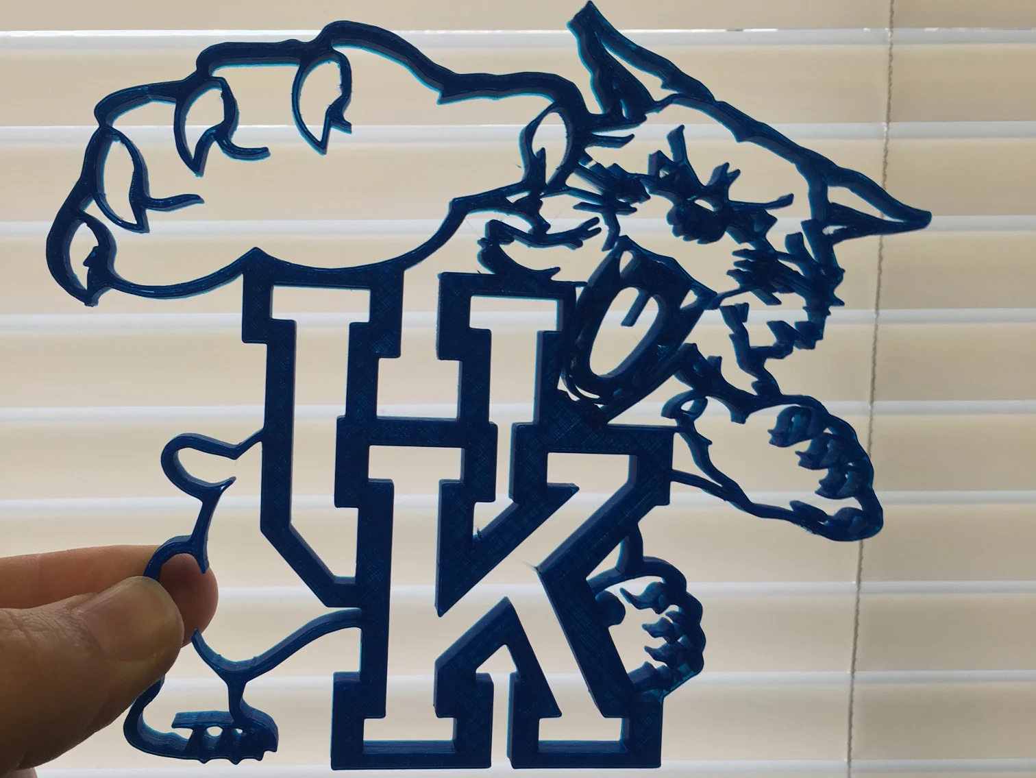 UK Wildcat