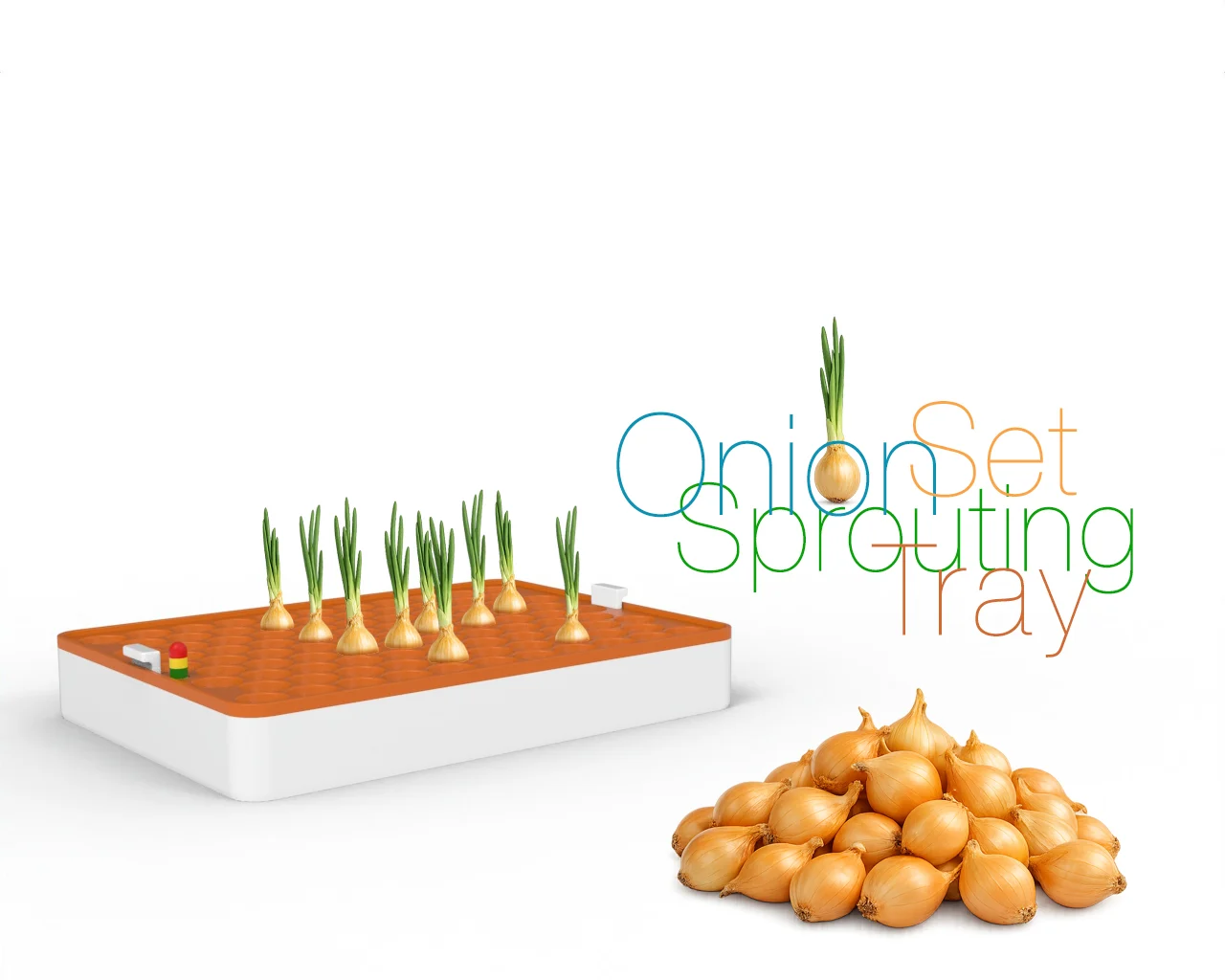 Onion Set Sprouting Tray