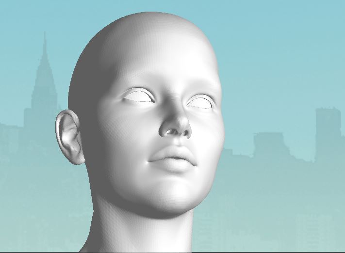 Head