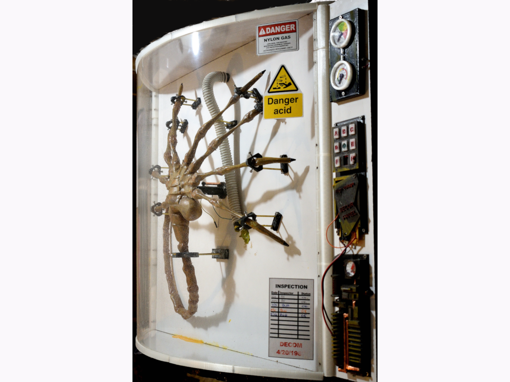 Facehugger in incubator