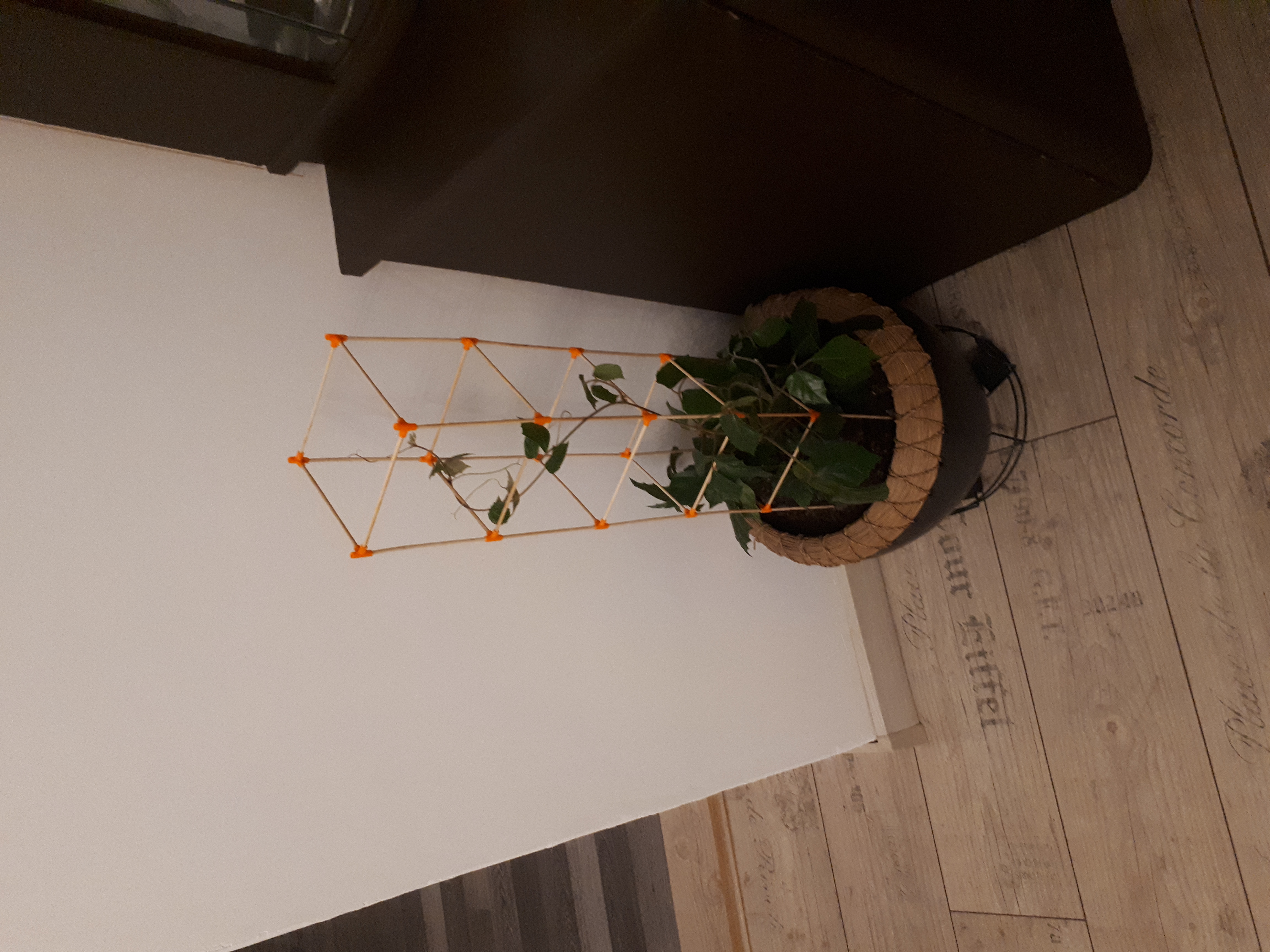 Flower cube climber