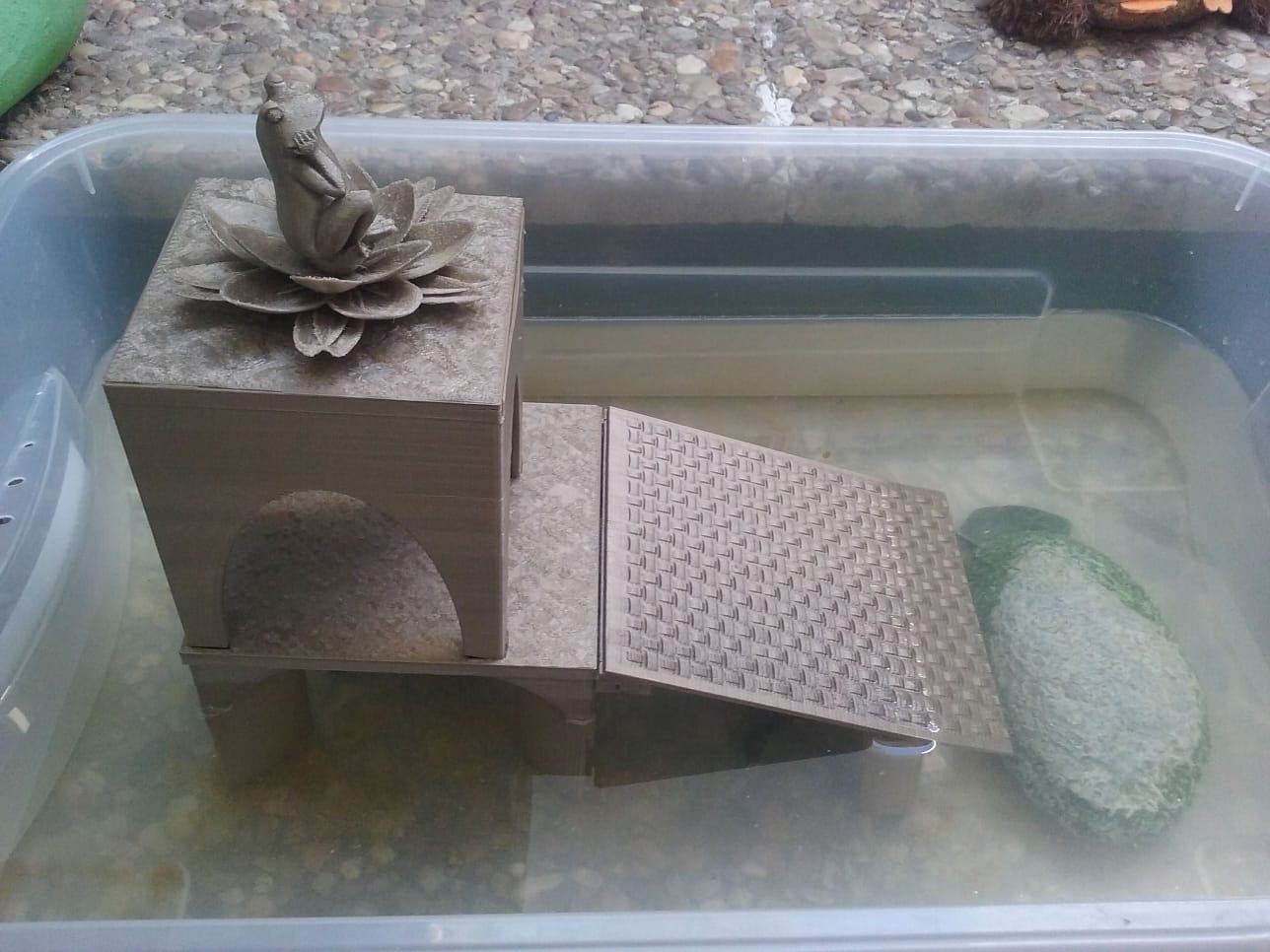 Aquarium terrapin terrarium