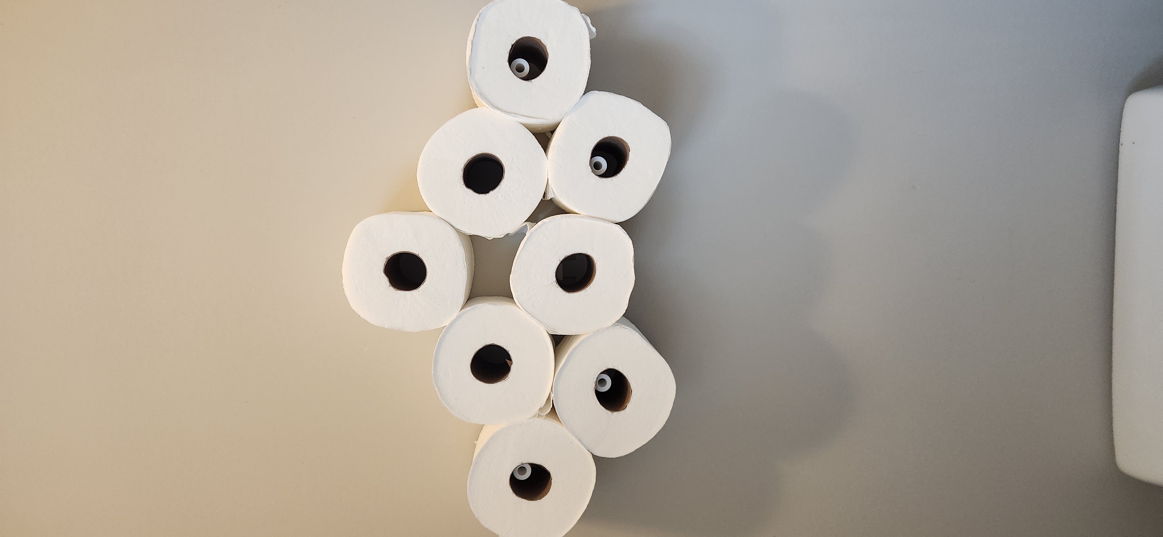 Minimalistic Cloud Storage Toilet Paper Holder