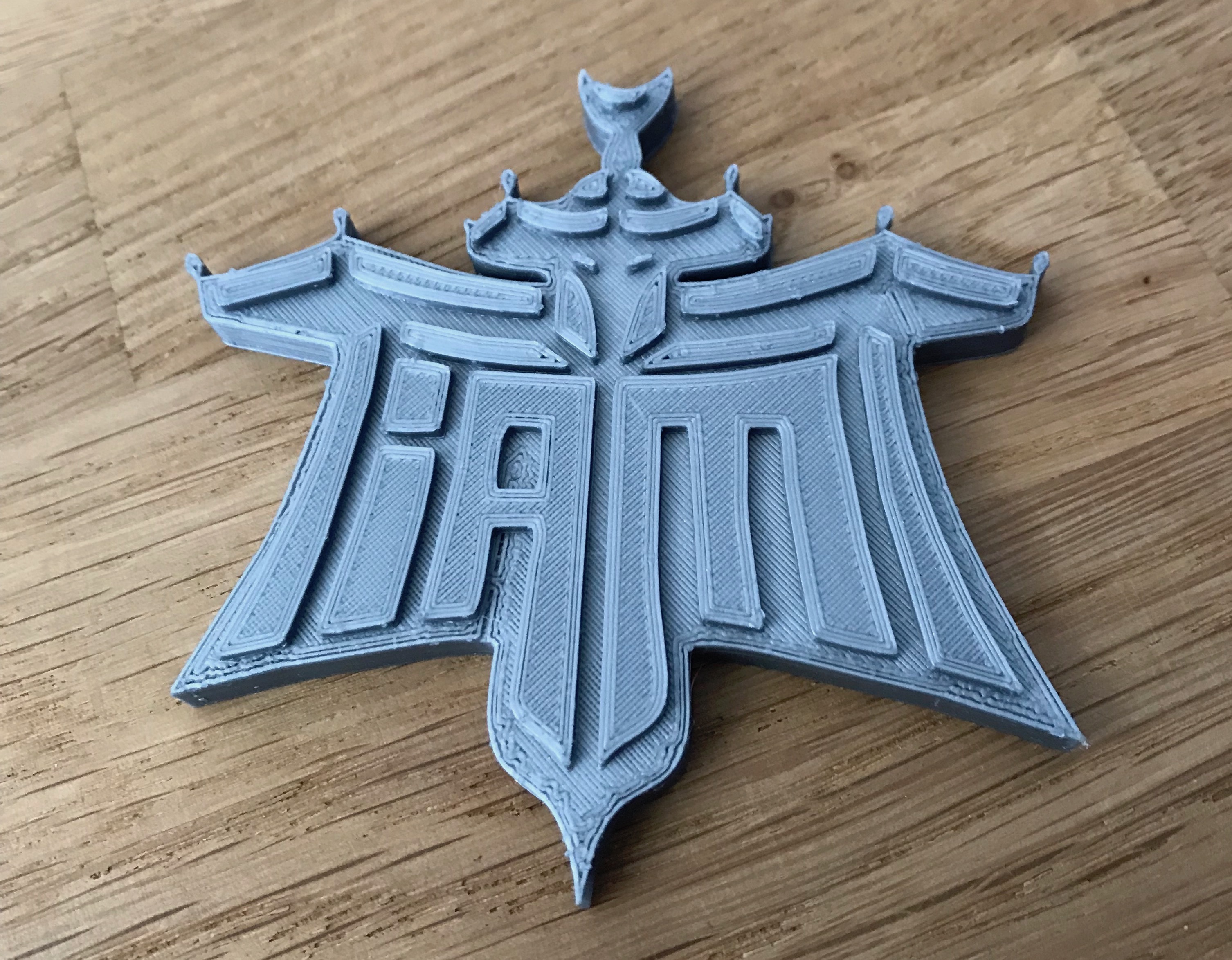 IAM logo