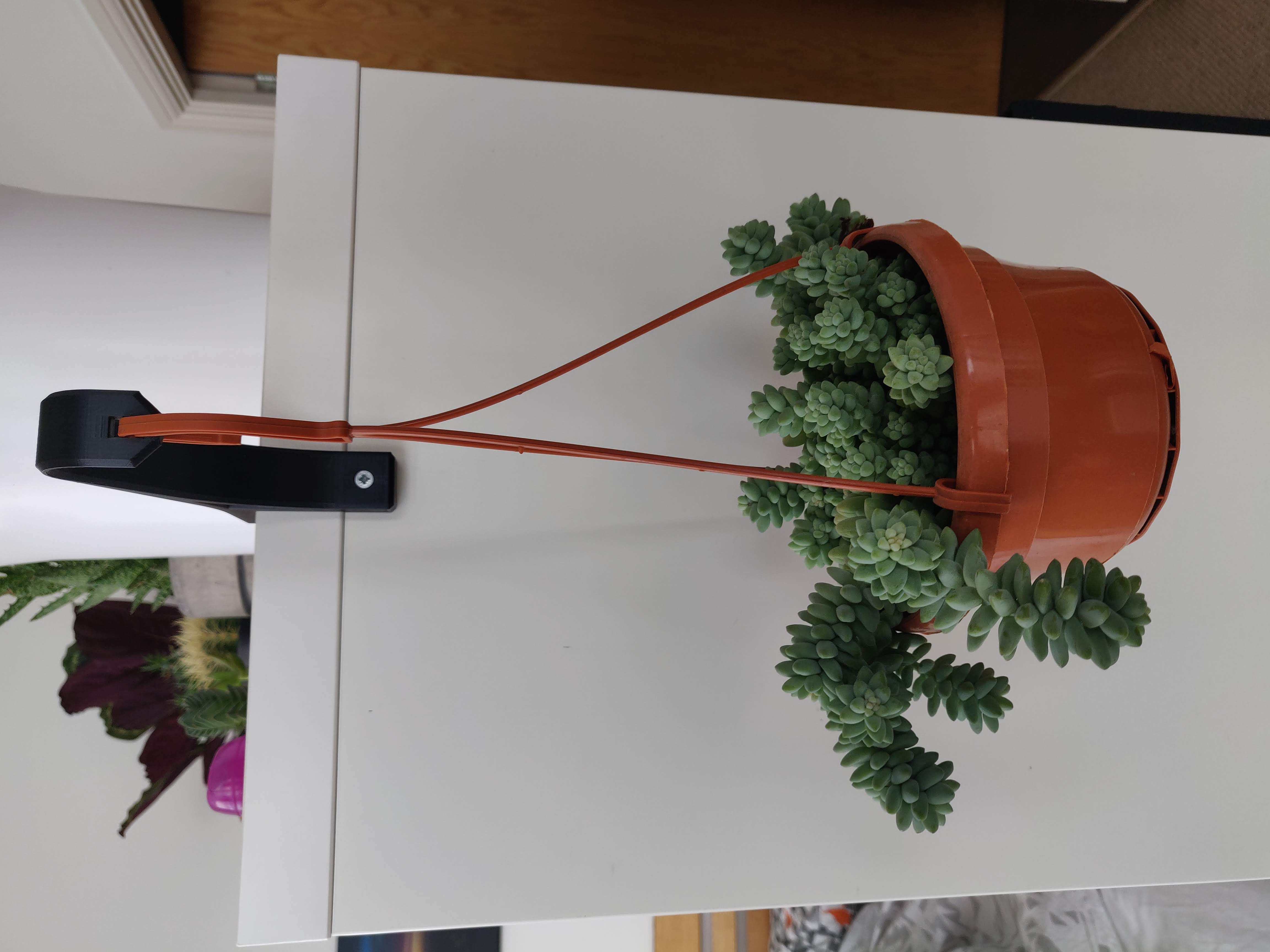 Plant Hanger