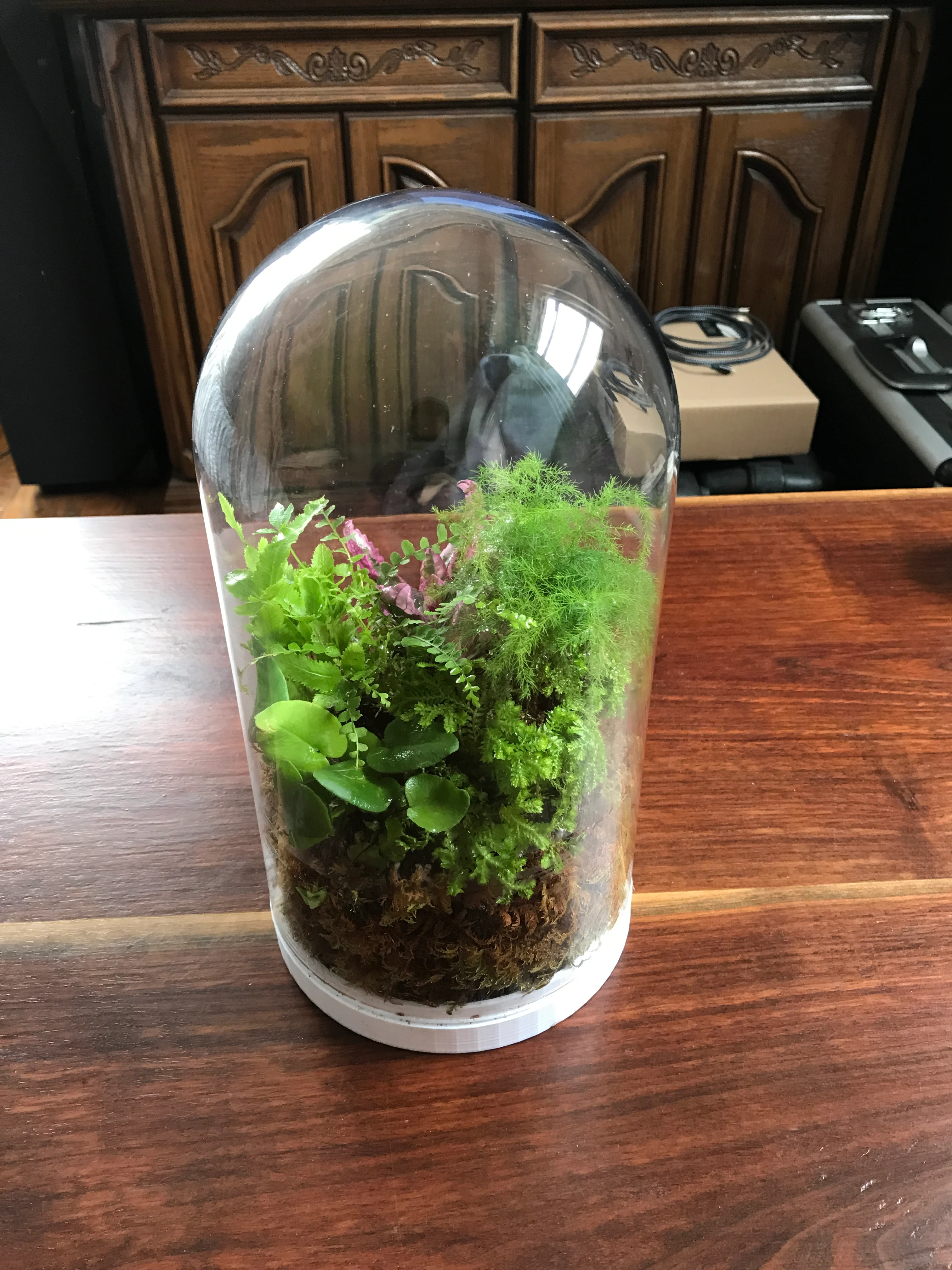 IKEA Plant Terrarium