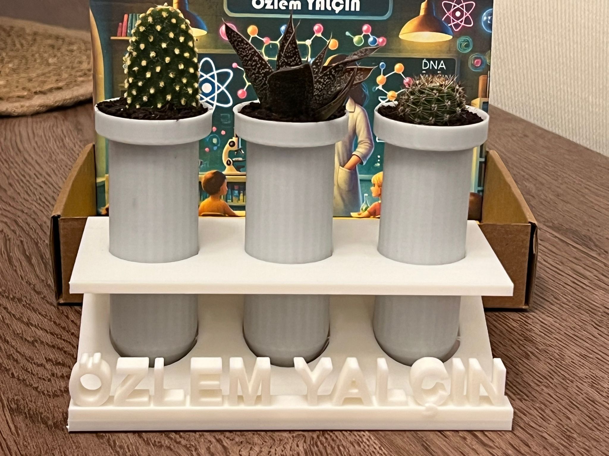 Test tube-shaped cactus planter Set with Stand