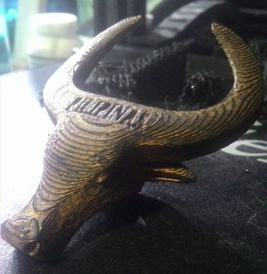 Carabao Ring/Slide - Boy Scout of the Philippines