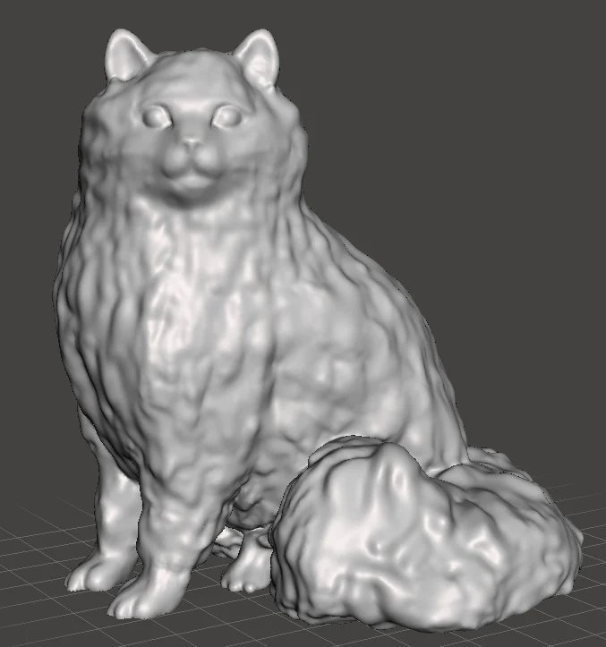 Long Hair Cat