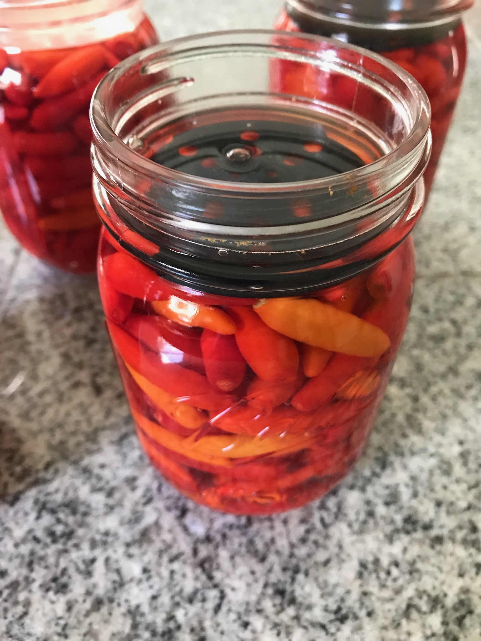 Fermentation Insert