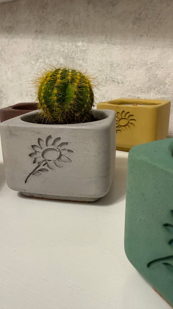 Planter master model