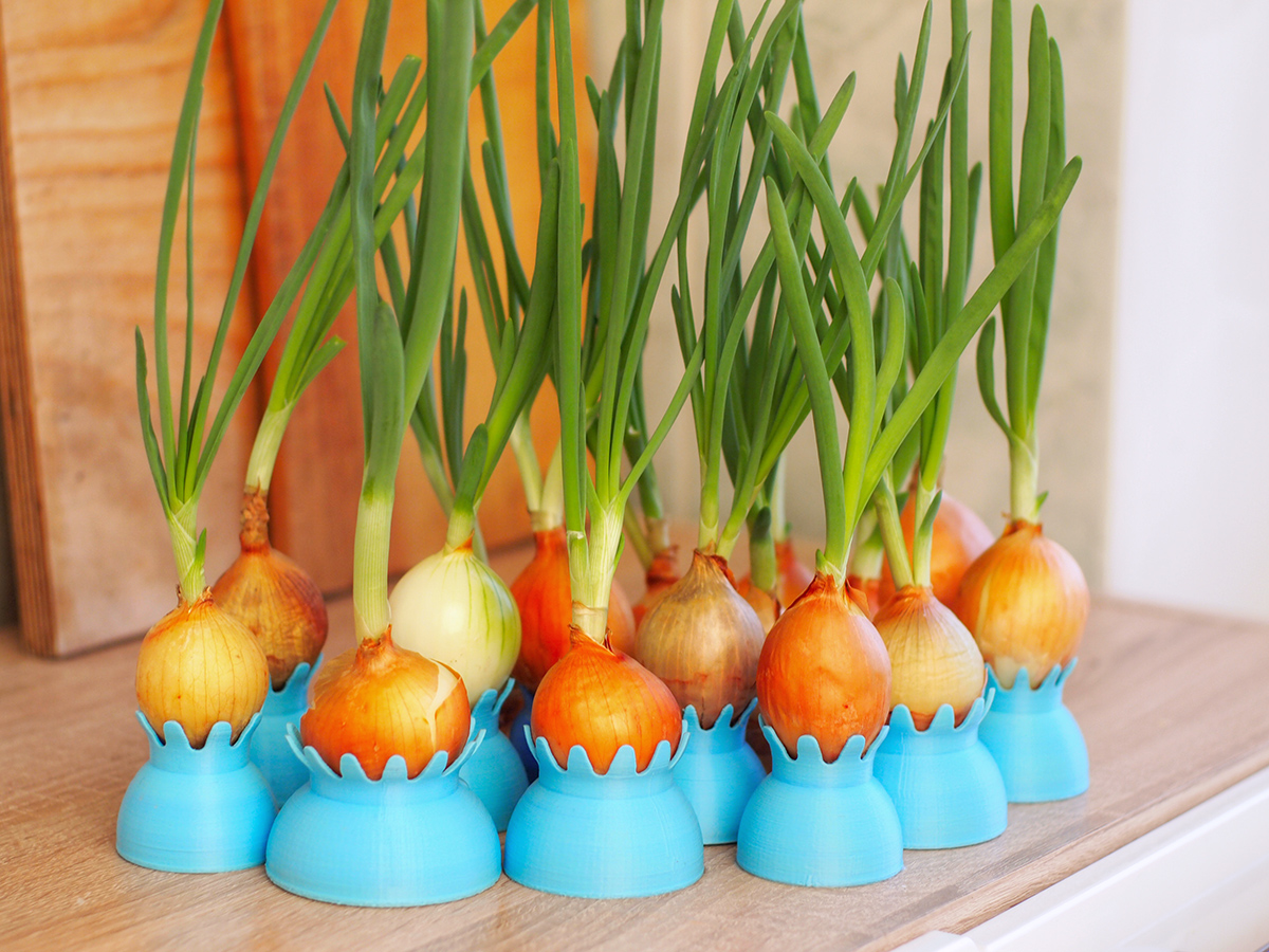 Onion pots
