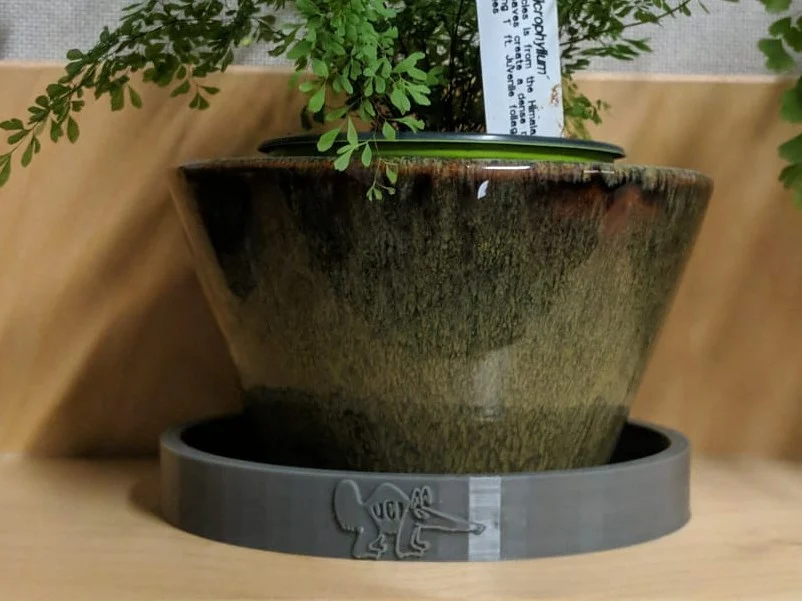 UCI Anteater Plant Plate. Zot! Zot! Zot!