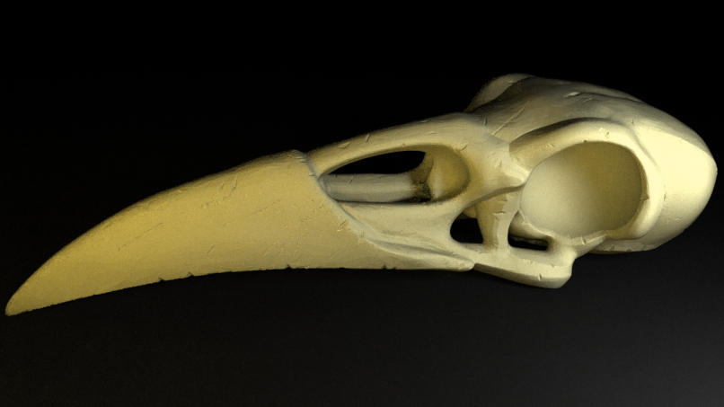 Raven Skull