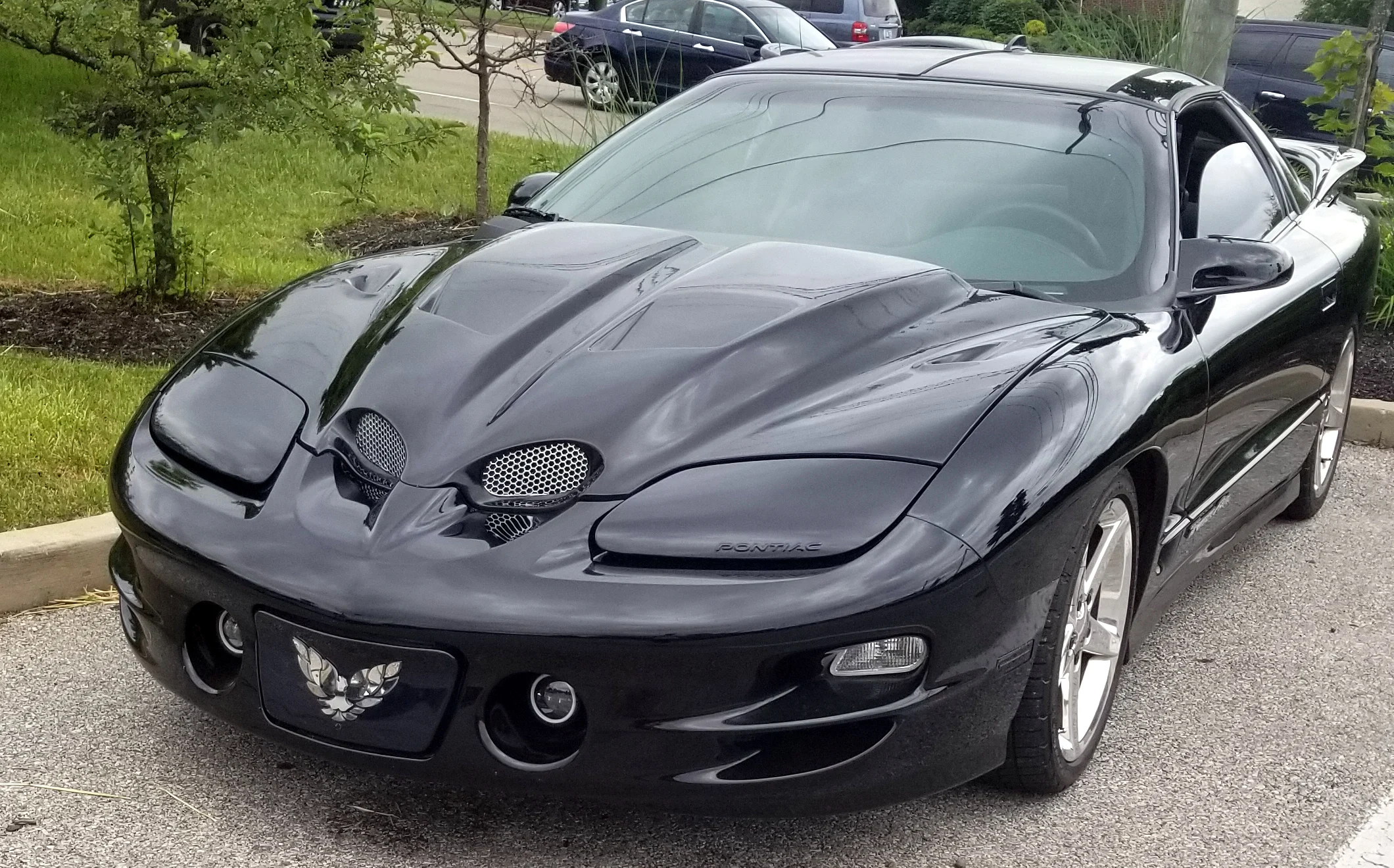 Trans Am WSQ Grill