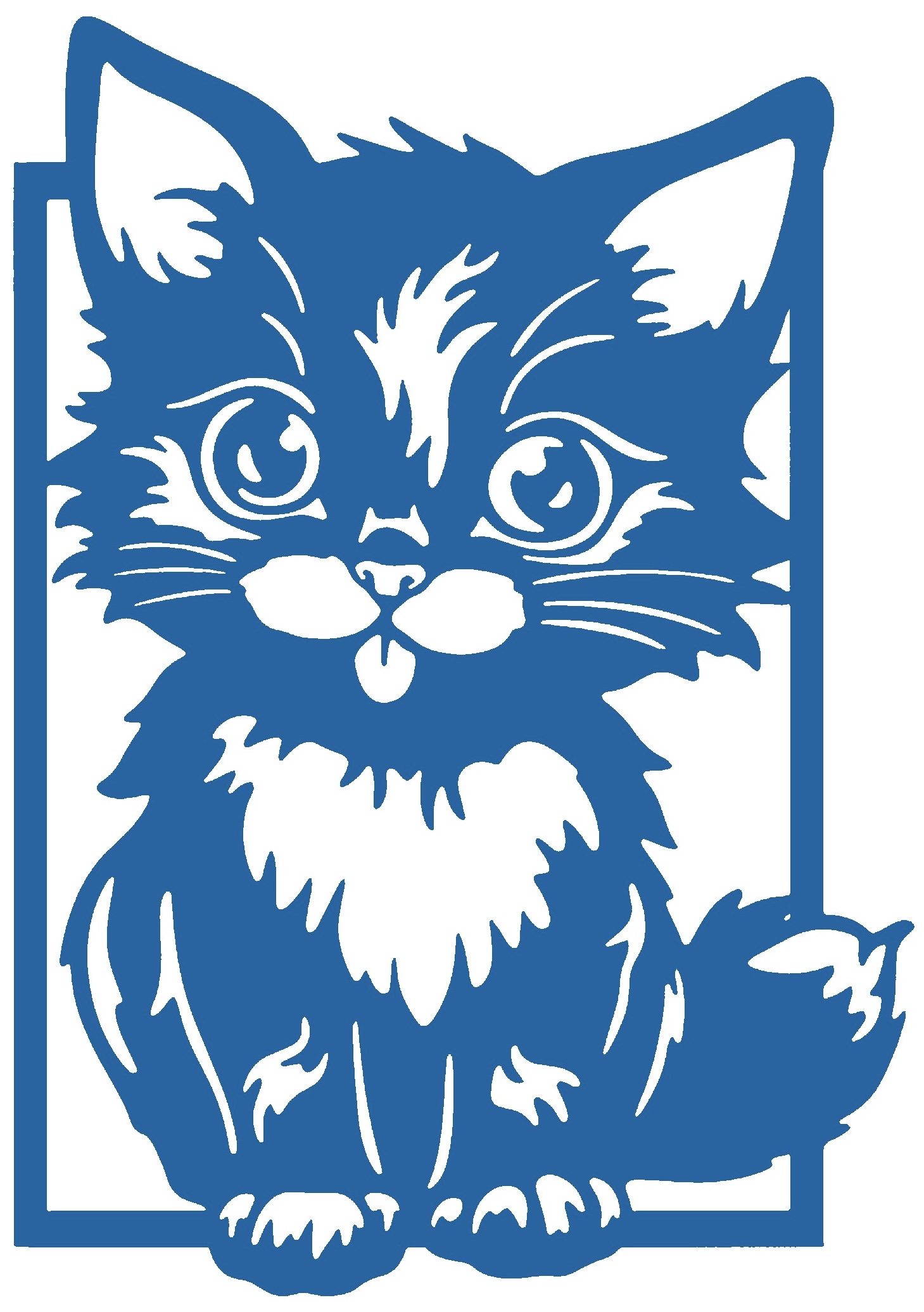 2D Cat 8