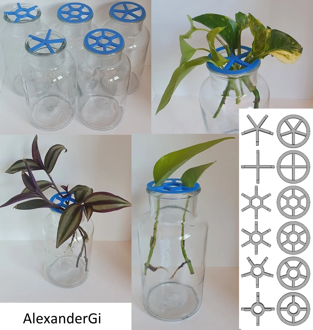 Plant Propagation Support / holder / lid