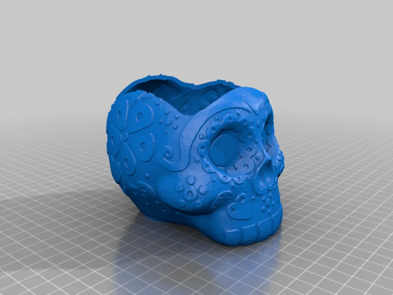 Hollowed Sugar Skull