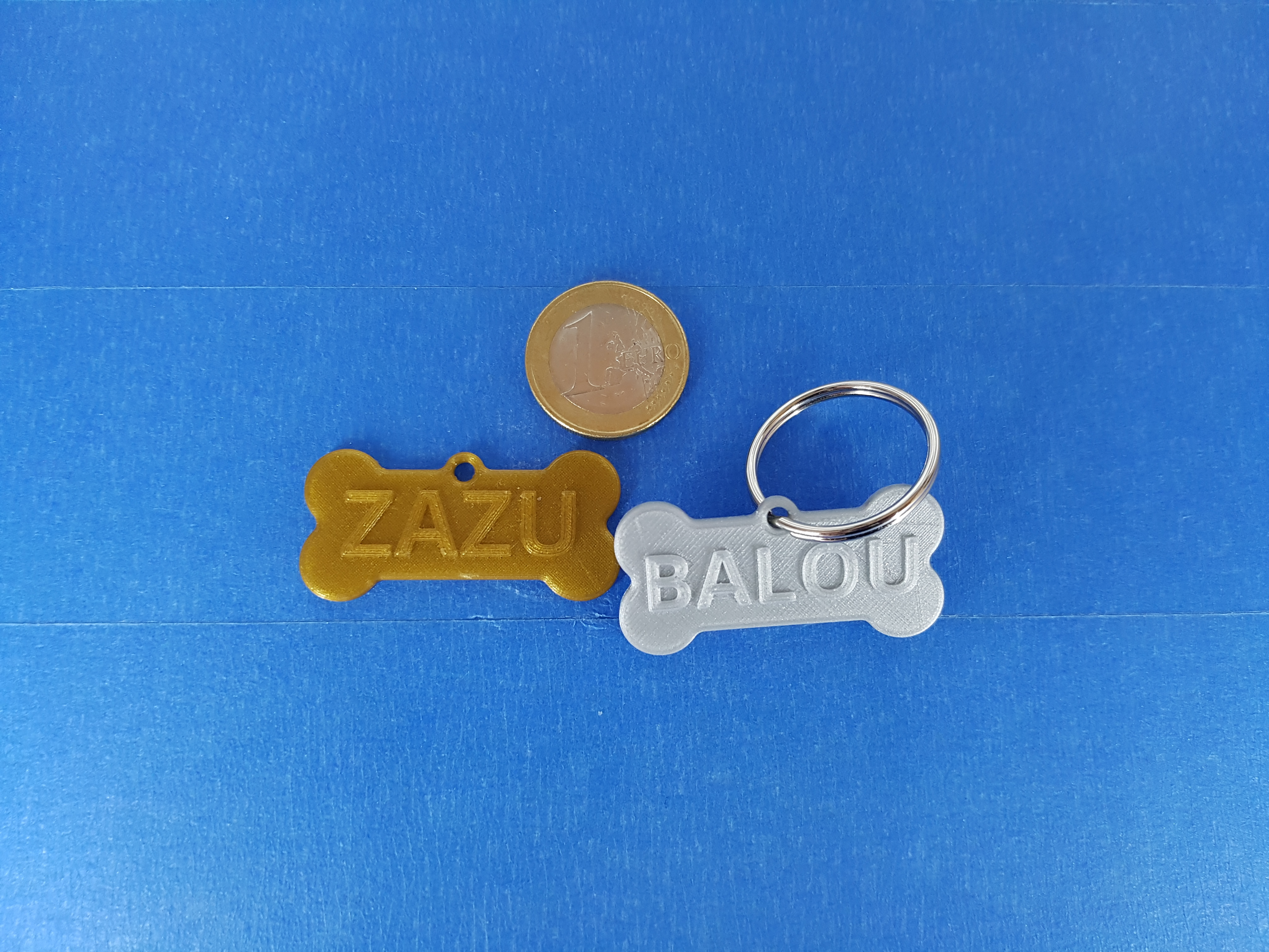 Dog ID tag