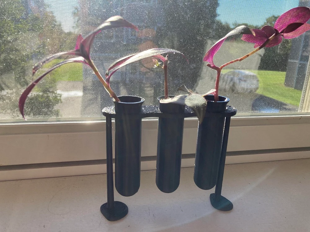 Test Tube propagation vase