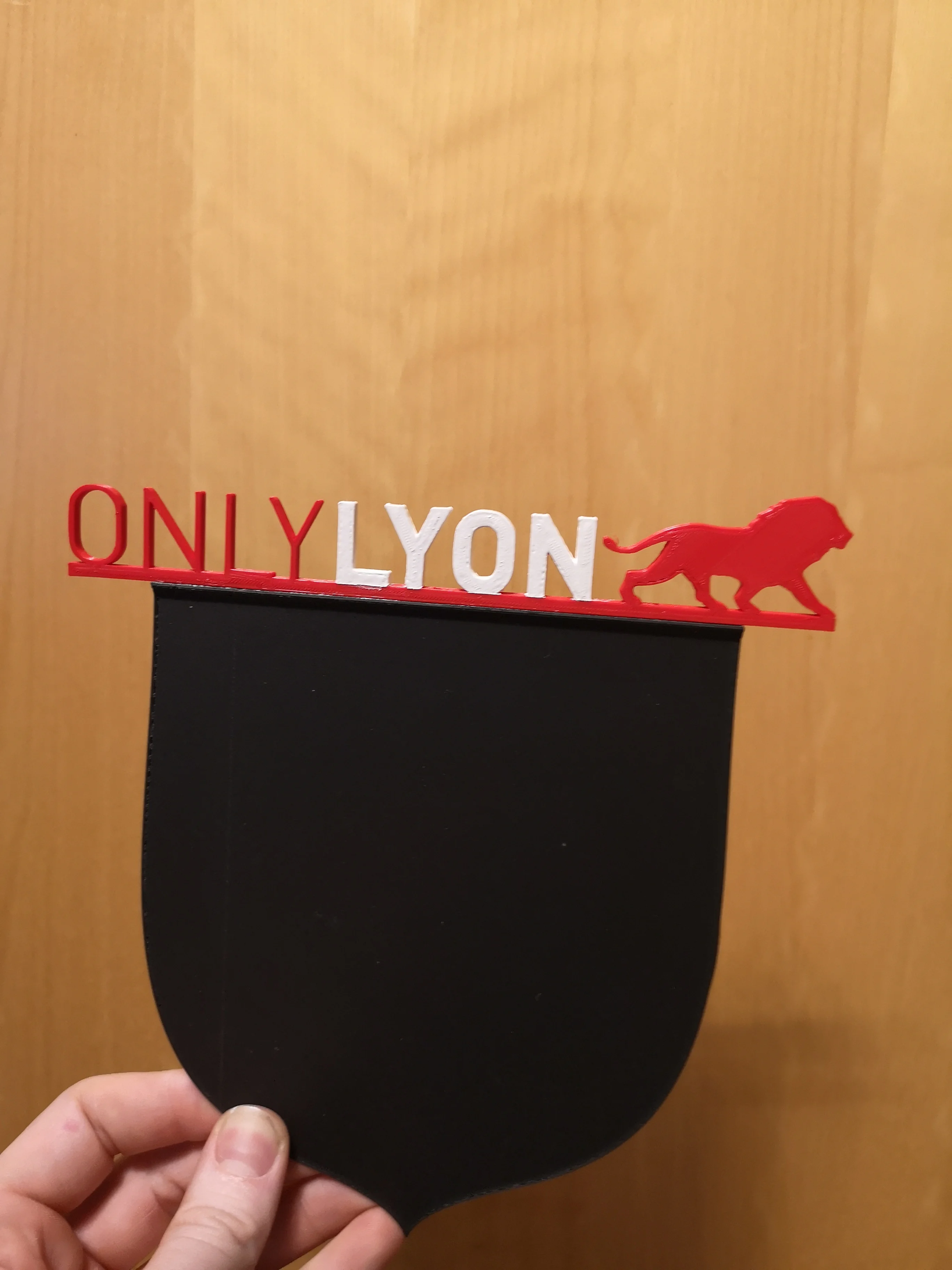 only lyon