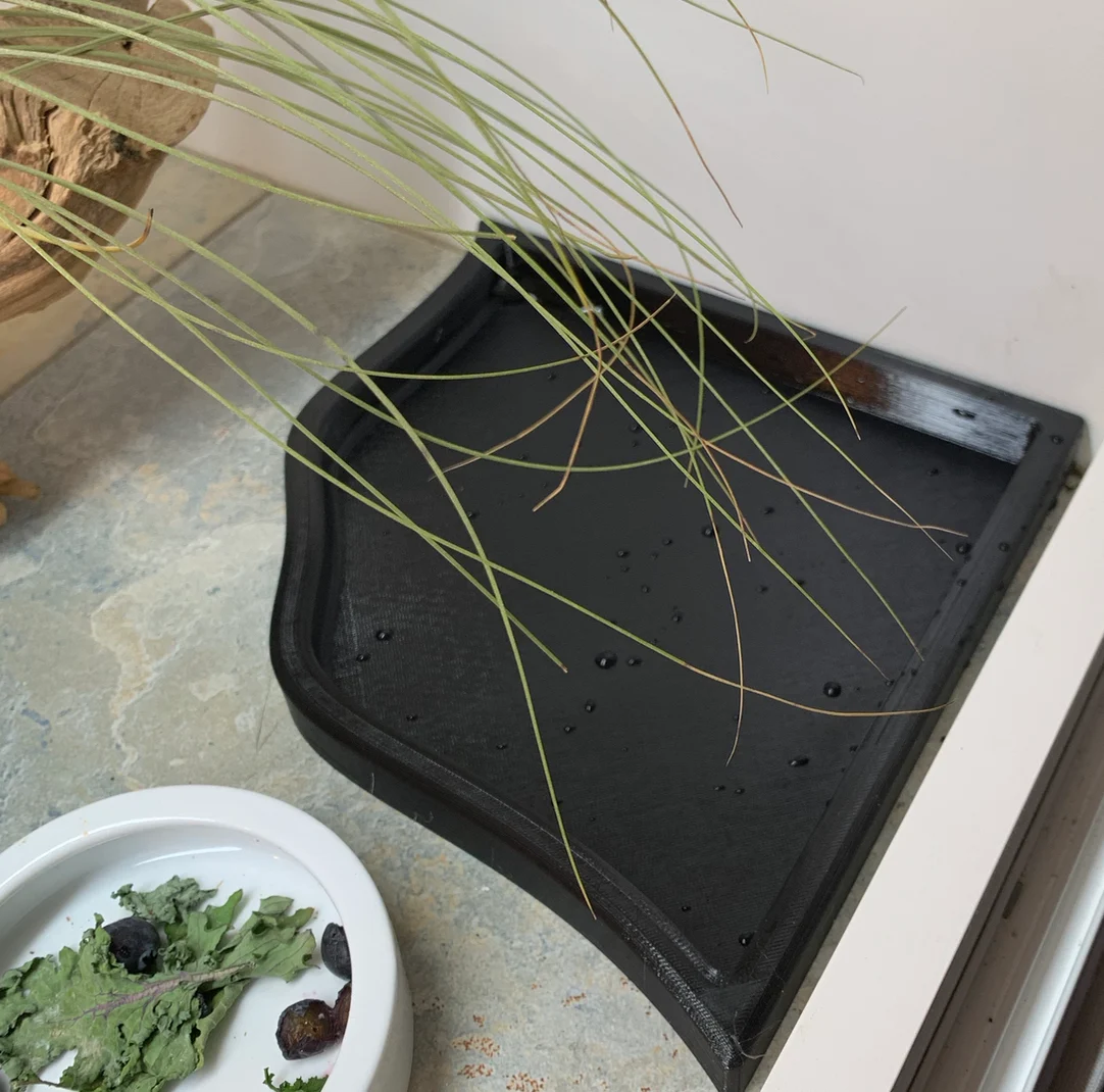 Reptile Water Bowl / Bath