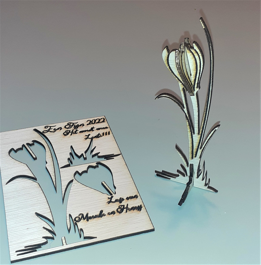 Crocus laser cut New Year 2022