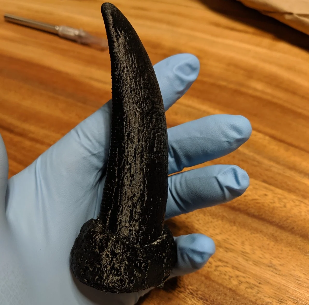 T.rex Tooth- Tyrannosaurus rex tooth