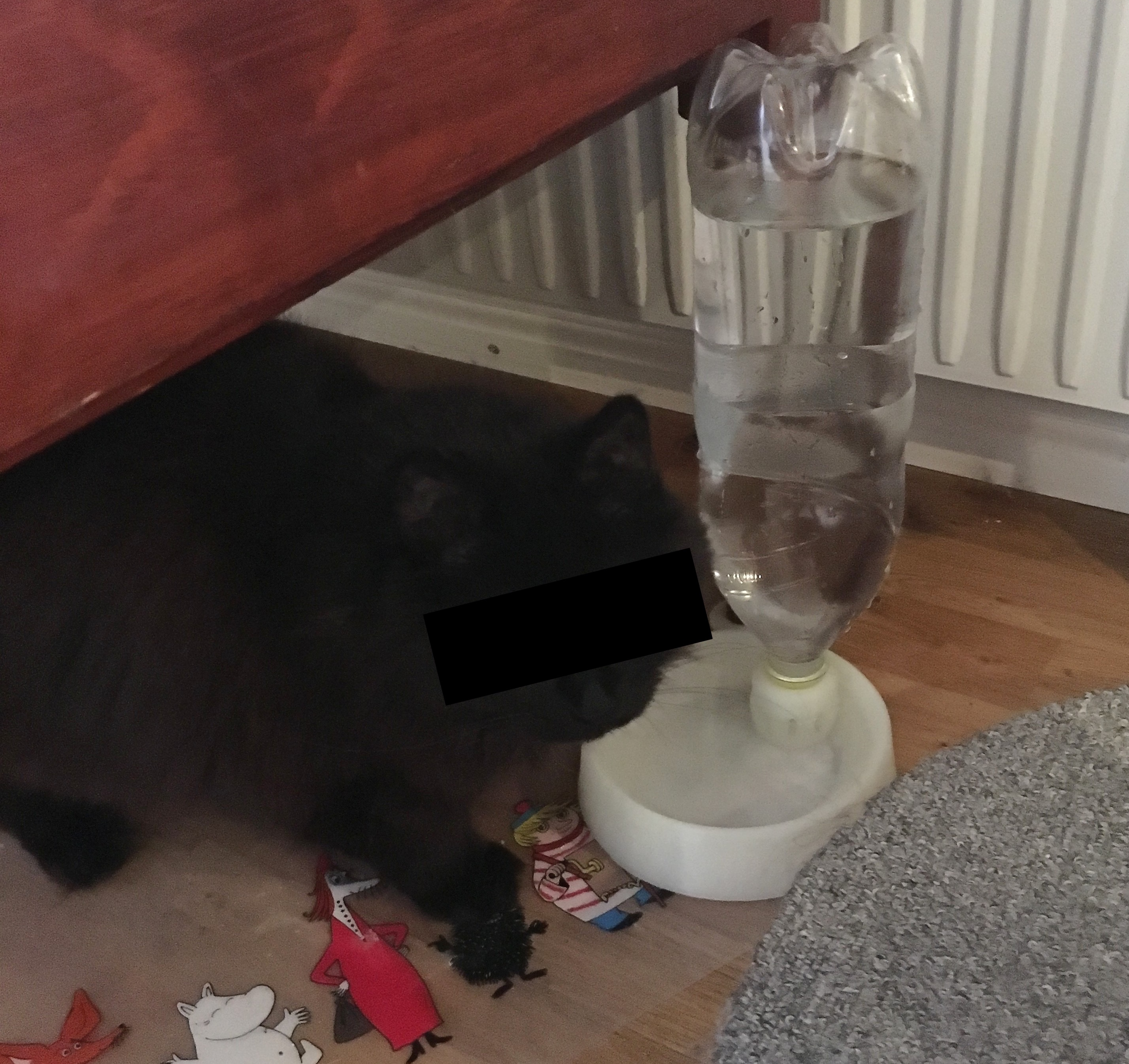 PET bottle water bowl