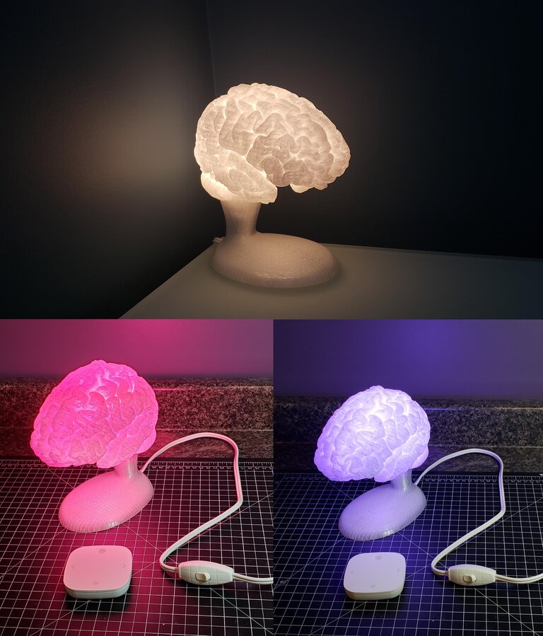 Brain Lamp with Socketed Base