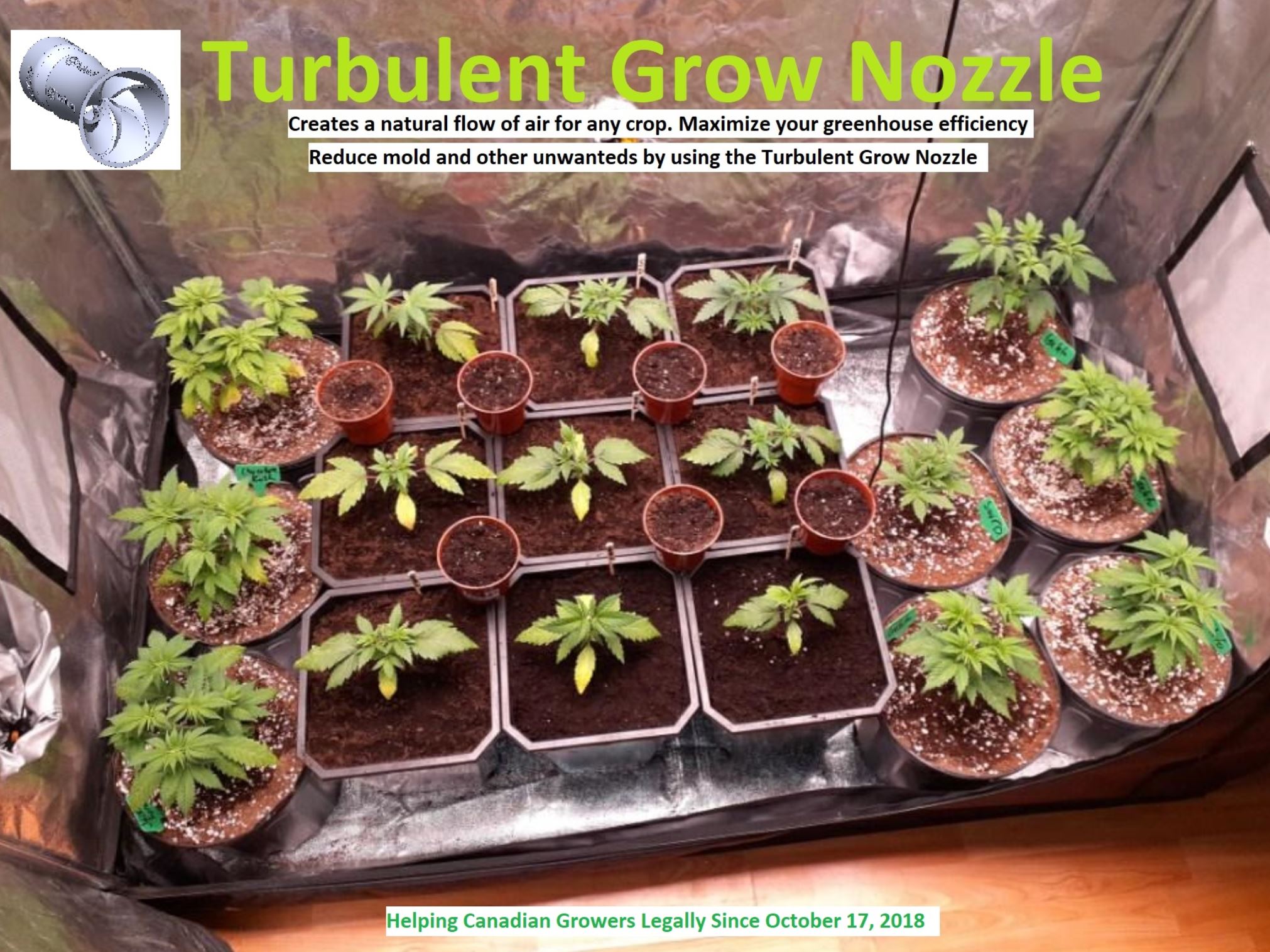 Turbulent Grow Nozzle