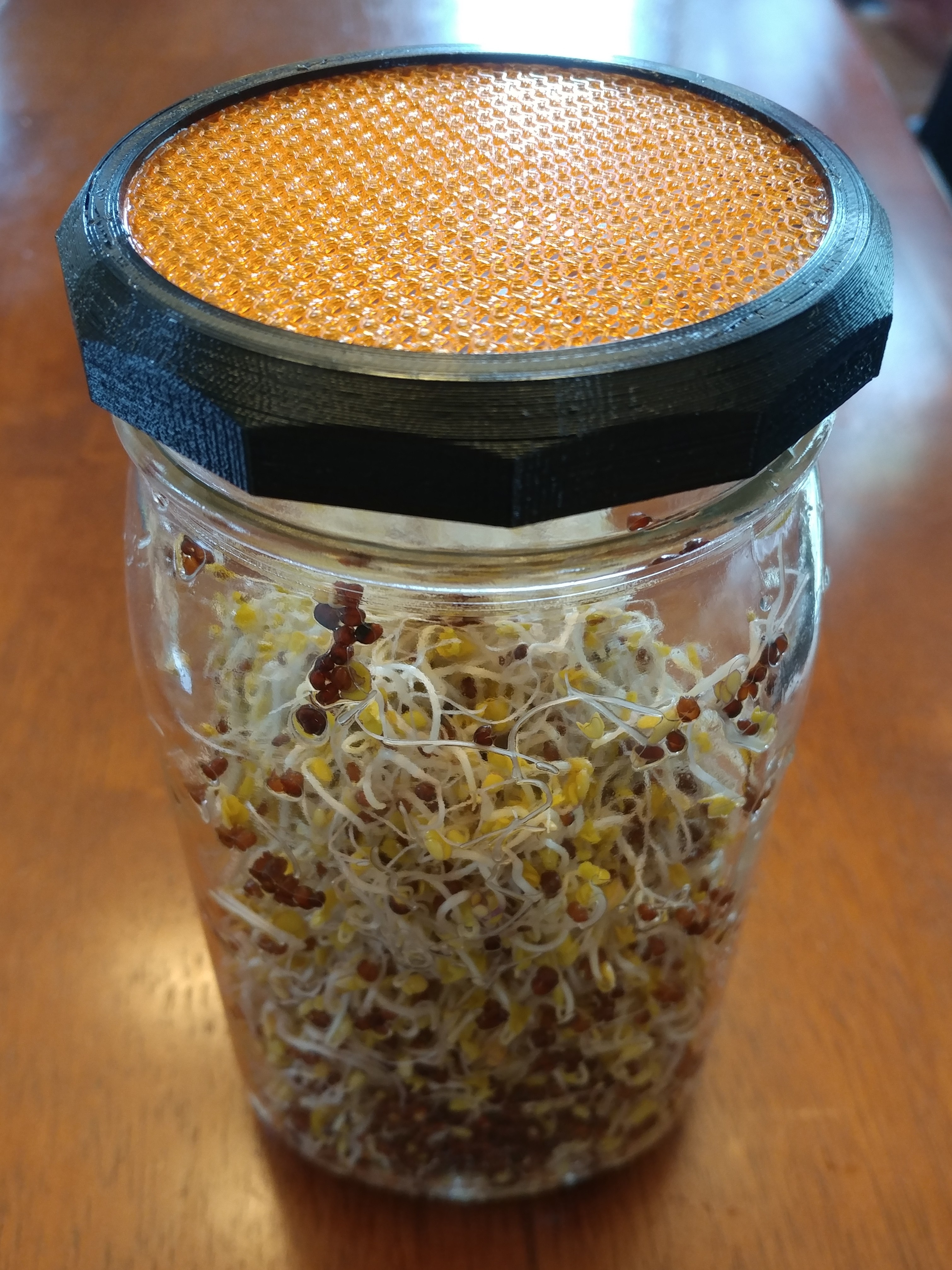 Mason Jar Sprouting Lid - 2 piece