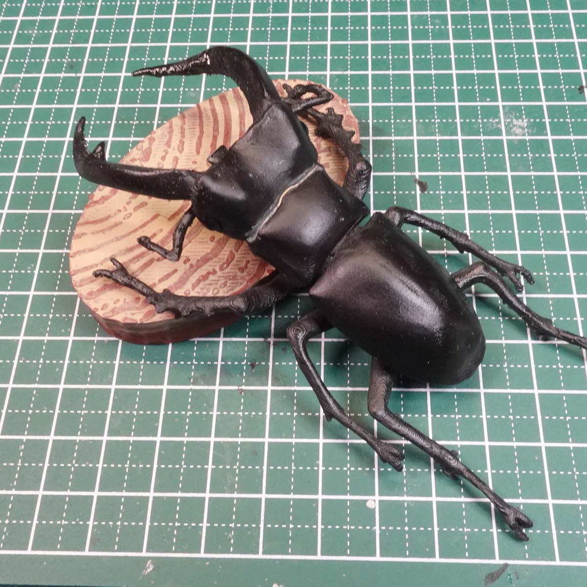 Hexarthrius rhinoceros