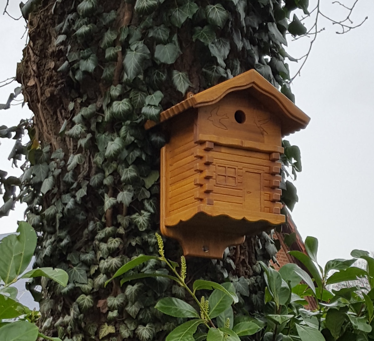 Vogelkasten_CNC