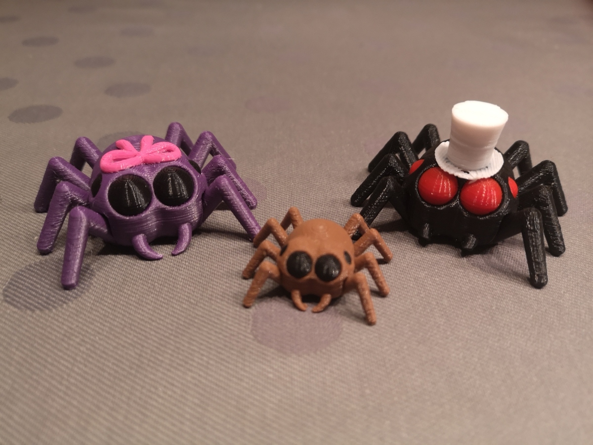 The gizo spider family (Multicolor)