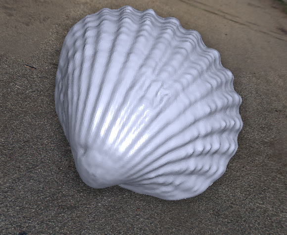 Sea shell