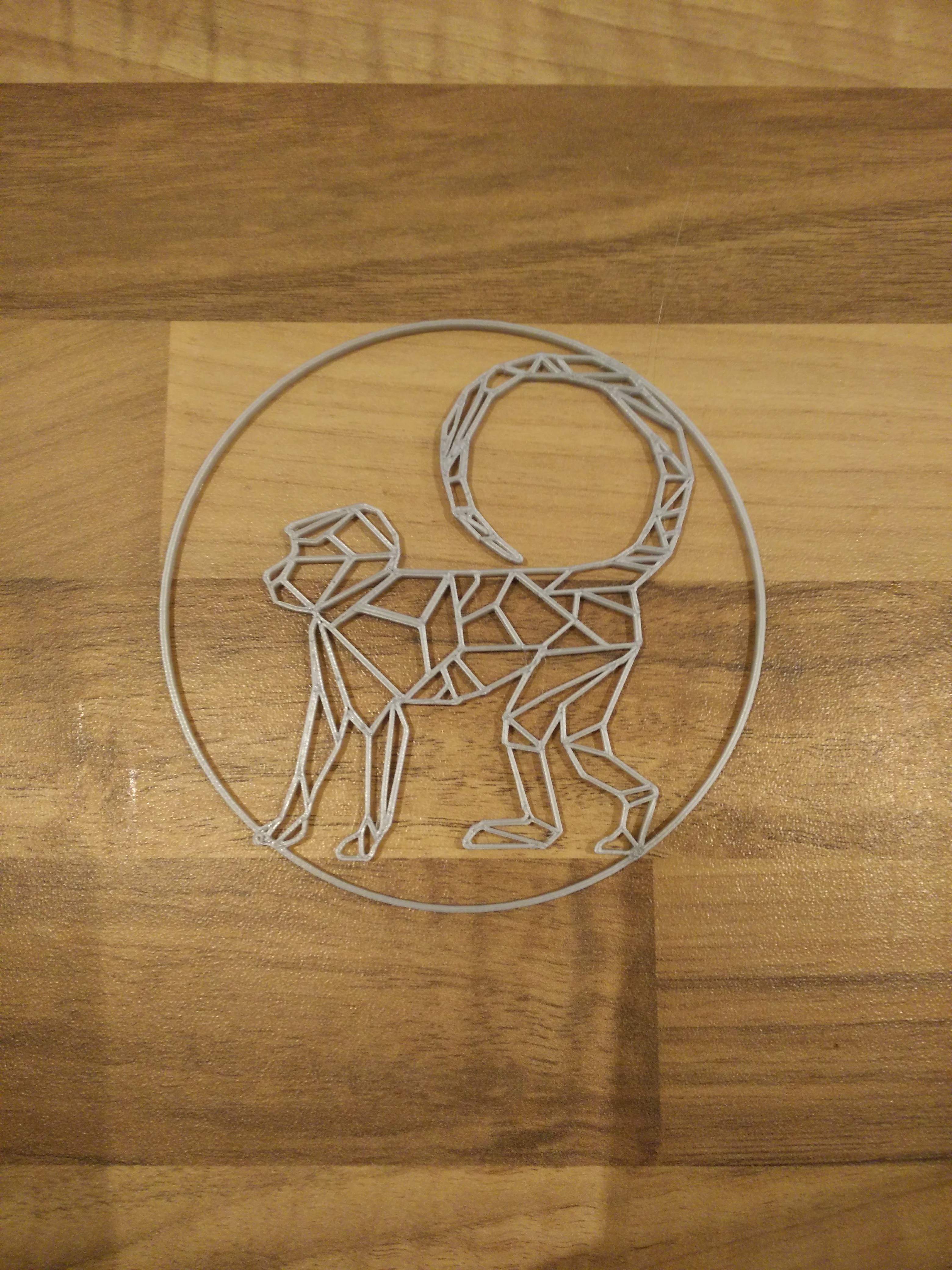 Monkey Coaster